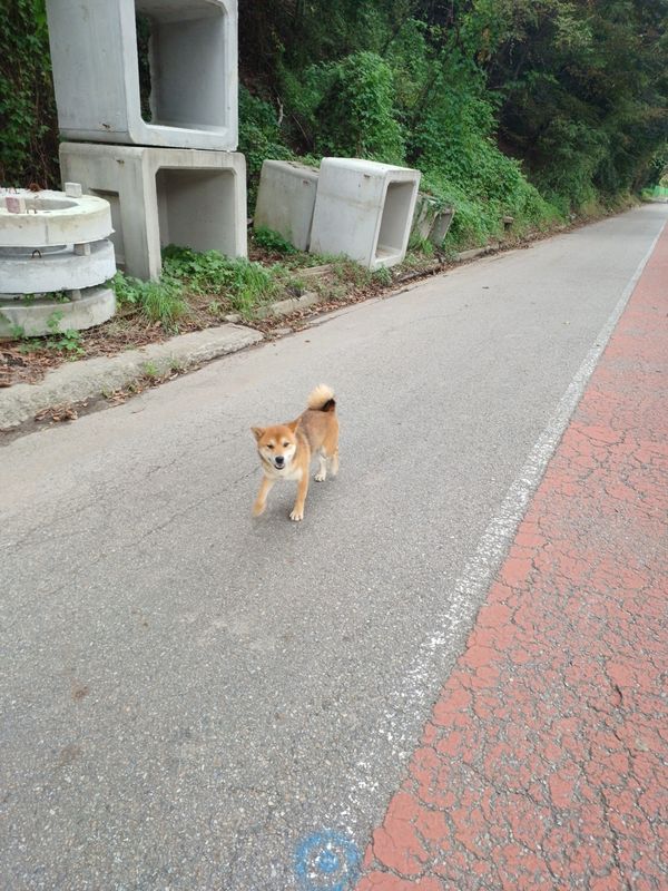 2025-10-9 라이딩(수원화성/돌판짜장 짜마)