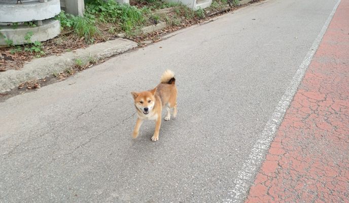 Foto 2 del percorso Bikemap "2025-10-9 라이딩(수원화성/돌판짜장 짜마)" Foto 2 del percorso Bikemap "2025-10-9 라이딩(수원화성/돌판짜장 짜마)"