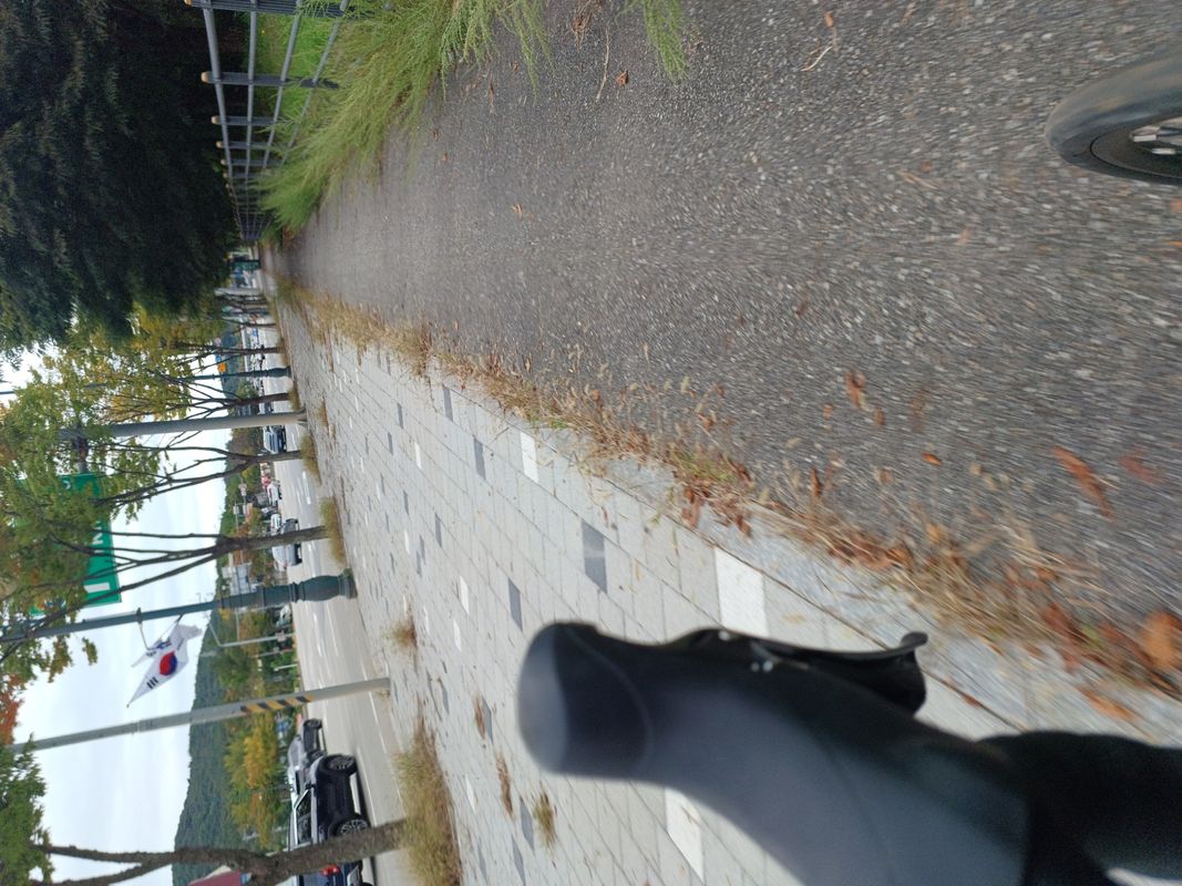 2025-10-9 라이딩(수원화성/돌판짜장 짜마)