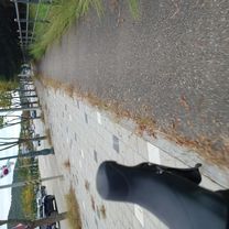 2025-10-9 라이딩(수원화성/돌판짜장 짜마)