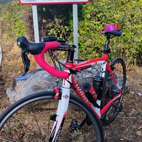 56 km. ruta de Alcedo.