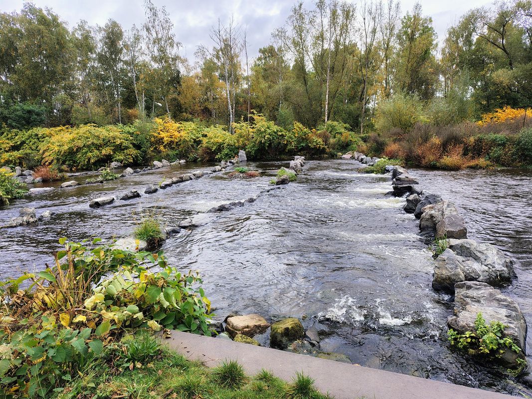 Bad Harzburg - NSG Okerteiche