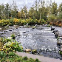 Bad Harzburg - NSG Okerteiche