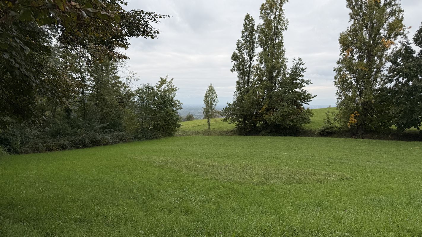 Kaiserstuhl Ridge 4 09.10.25 geändert falsch