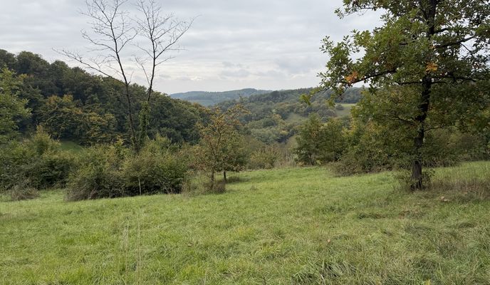 Zdjęcie 2 trasy Bikemap „Kaiserstuhl Ridge 4 09.10.25 geändert falsch”