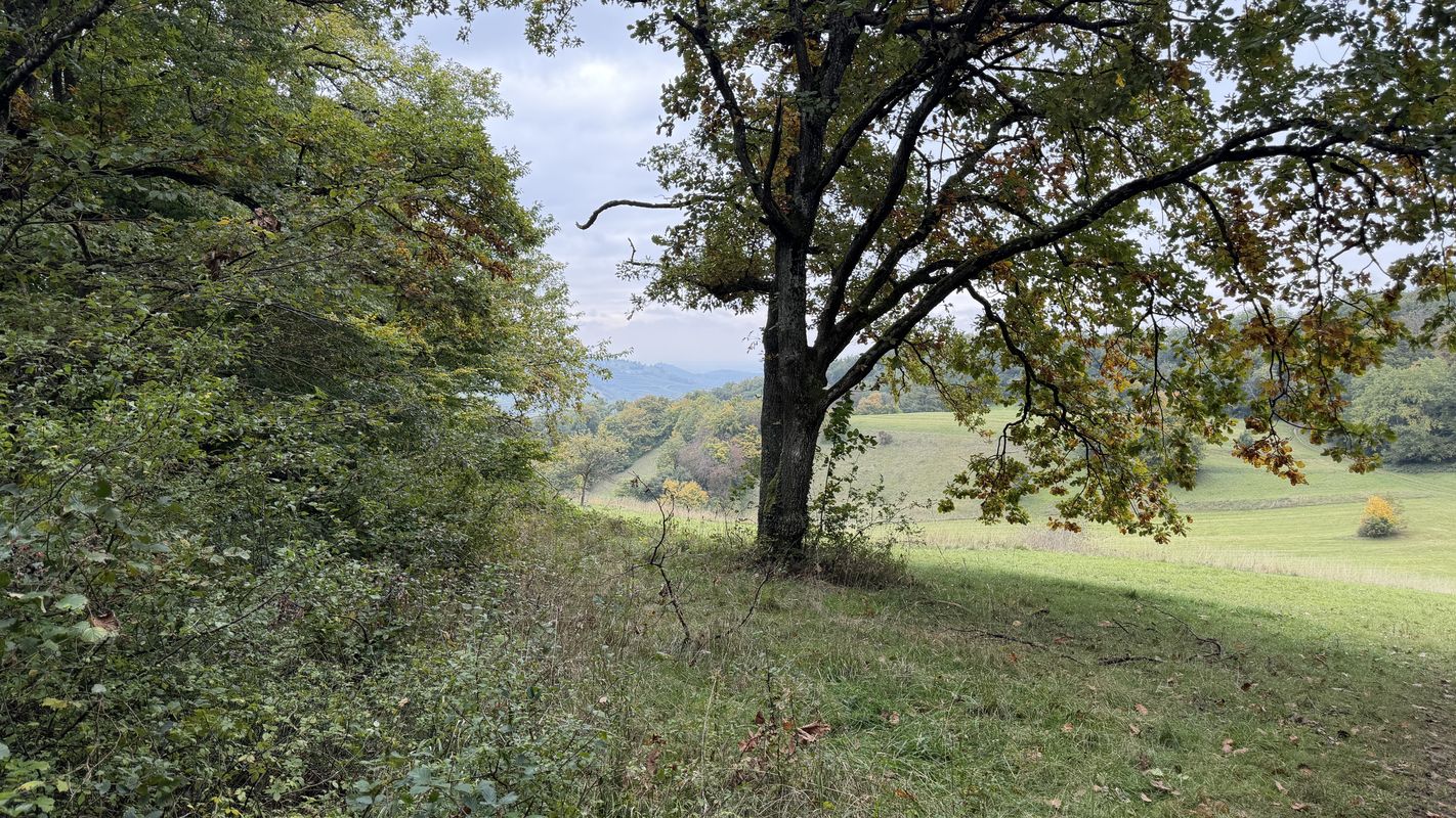 Kaiserstuhl Ridge 4 09.10.25 geändert falsch