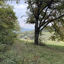 Kaiserstuhl Ridge 4 09.10.25 geändert falsch