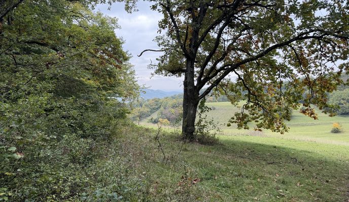 Zdjęcie 1 trasy Bikemap „Kaiserstuhl Ridge 4 09.10.25 geändert falsch”