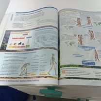 Foto 8 der Bikemap-Route "iiii8iiiiiiiiiiii"