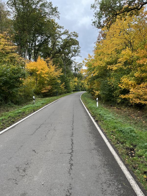 Lindenstraße, Haldensleben nach Lindenstraße, Haldensleben