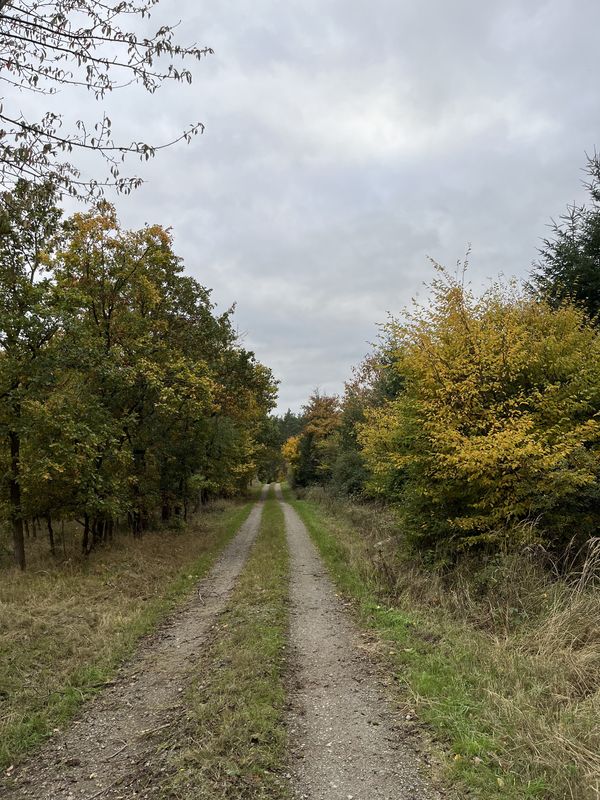 Lindenstraße, Haldensleben nach Lindenstraße, Haldensleben