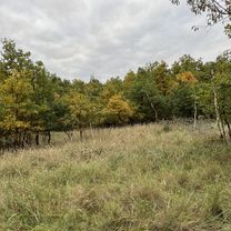 Lindenstraße, Haldensleben nach Lindenstraße, Haldensleben