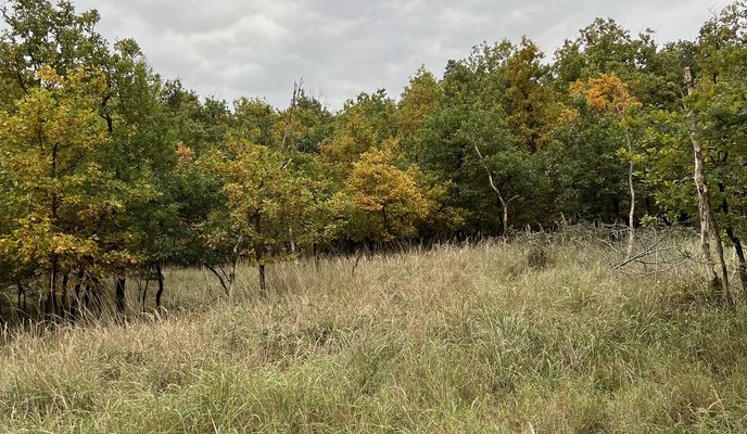 Foto 1 der Bikemap-Route "Lindenstraße, Haldensleben nach Lindenstraße, Haldensleben"