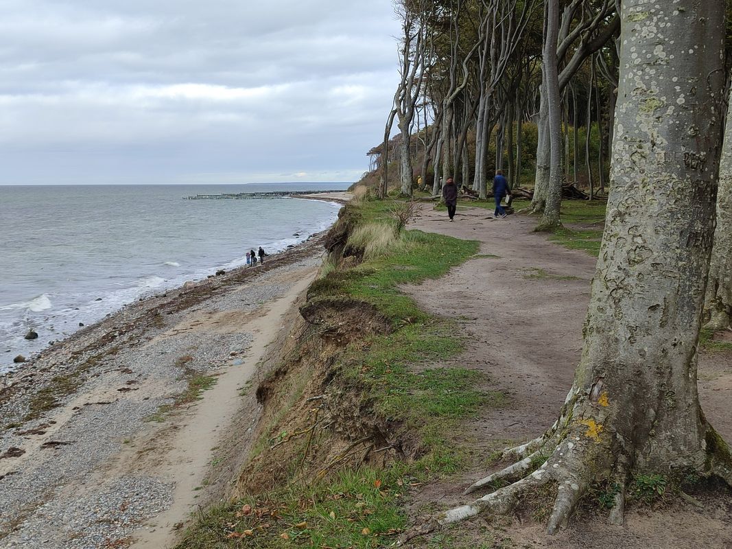 Rerik zum Geisterwald bei Nienhagen