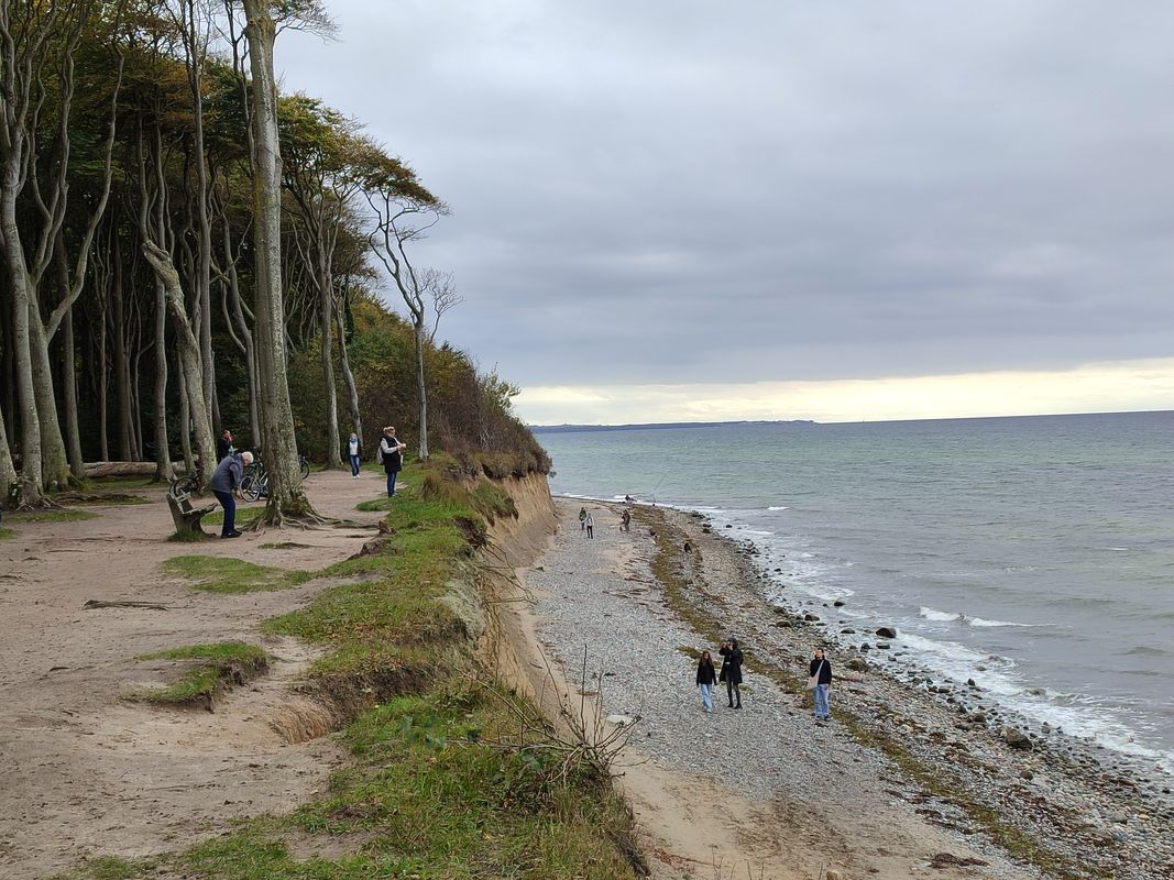 Rerik zum Geisterwald bei Nienhagen