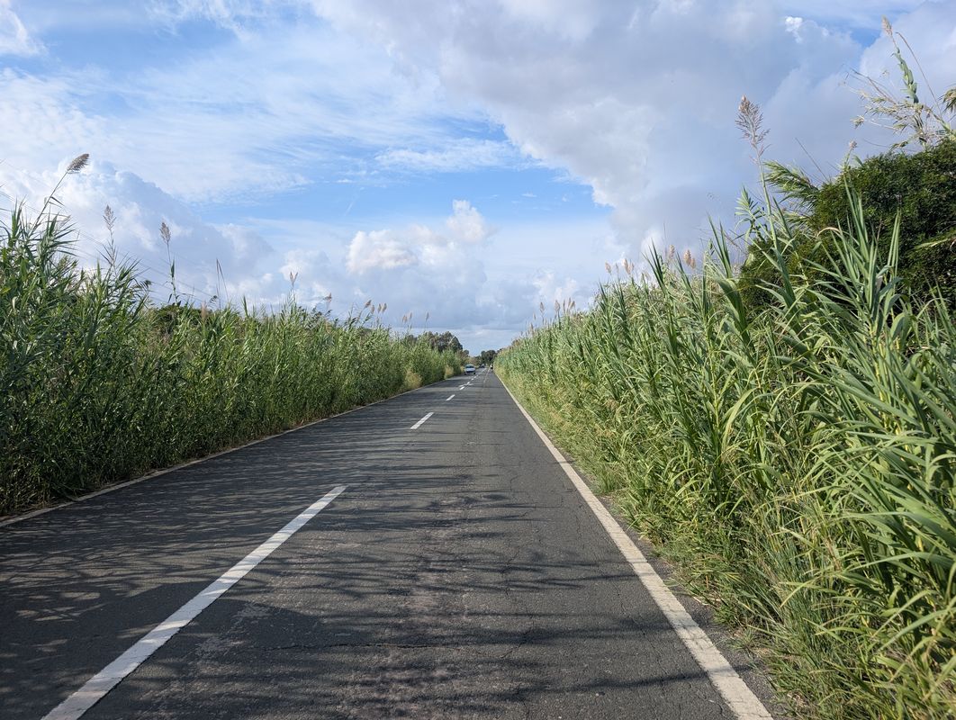 Carrer de Sant Jaume to Carrer de Sant Jaume