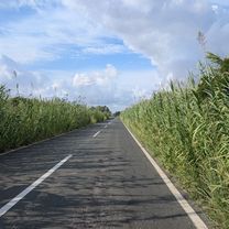 Carrer de Sant Jaume to Carrer de Sant Jaume