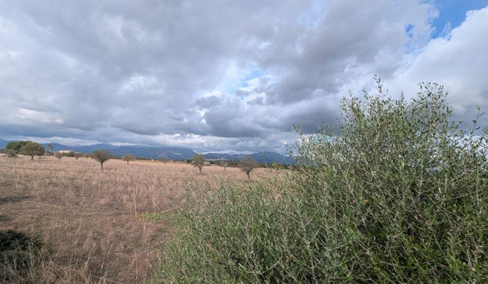 Foto 2 del percorso Bikemap "Carrer de Sant Jaume to Carrer de Sant Jaume"