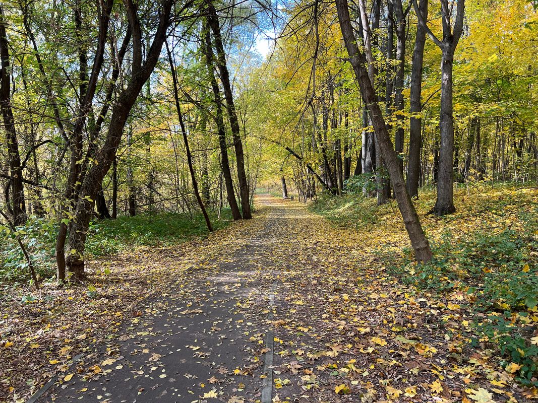 Каталка 61 км