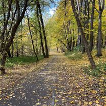 Каталка 61 км