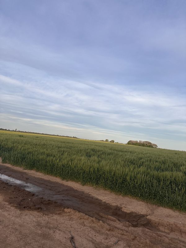 Cerrito, Álvarez a Cerrito, Álvarez