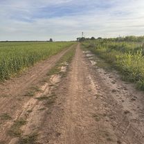 Cerrito, Álvarez a Cerrito, Álvarez