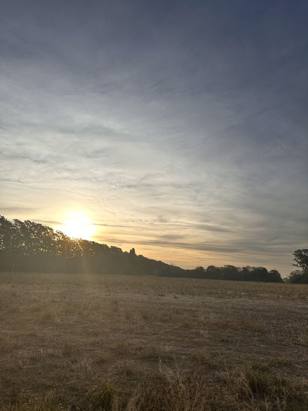 Cerrito, Álvarez a Cerrito, Álvarez