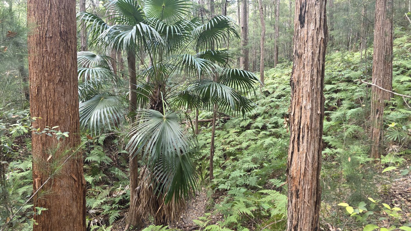 Parklands Friday Moring e-MTB'ing