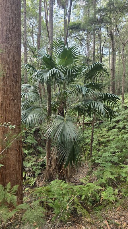 Parklands Friday Moring e-MTB'ing