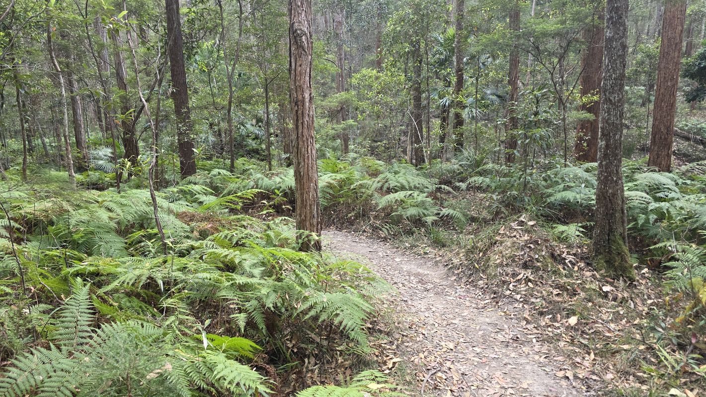 Parklands Friday Moring e-MTB'ing