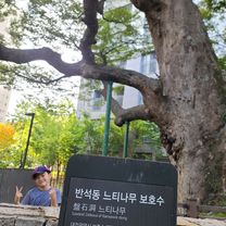 편안한 경로