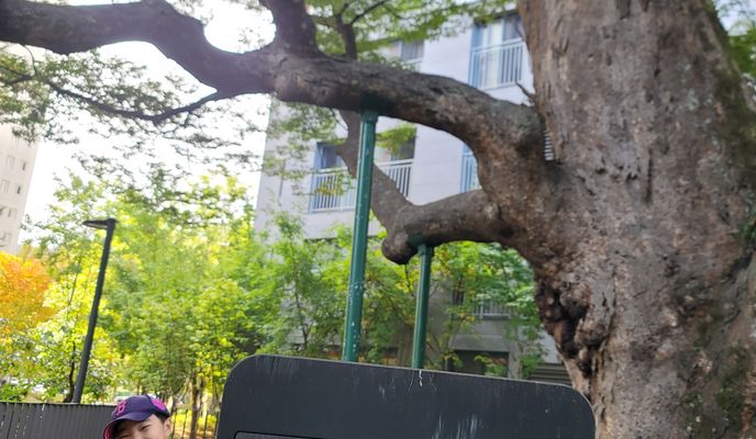 Photo 1 of the Bikemap route "편안한 경로"