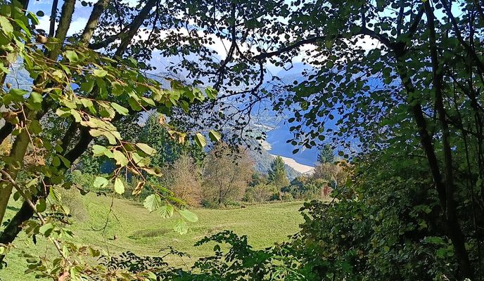 Foto 2 der Bikemap-Route "Da Via Papa Luciani a Via Papa Luciani" Foto 2 der Bikemap-Route "Da Via Papa Luciani a Via Papa Luciani"