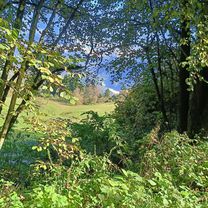 Da Via Papa Luciani a Via Papa Luciani