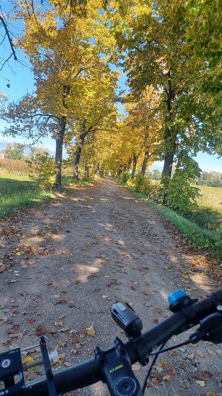 pianura a sud di Pordenone
