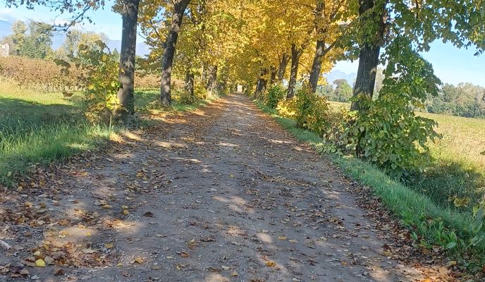 Photo 2 de l’itinéraire Bikemap « pianura a sud di Pordenone »