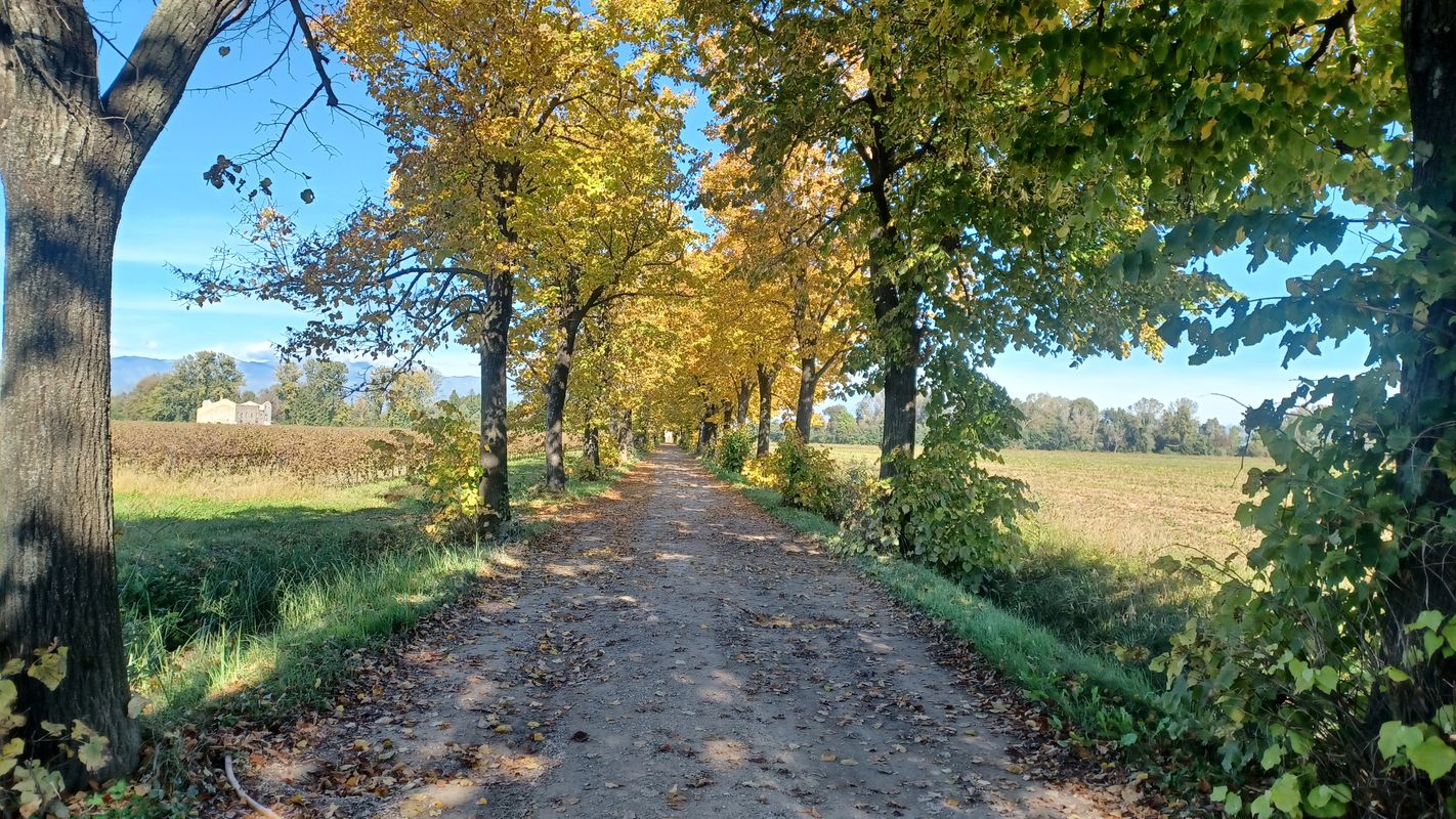 pianura a sud di Pordenone