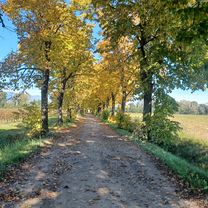 pianura a sud di Pordenone