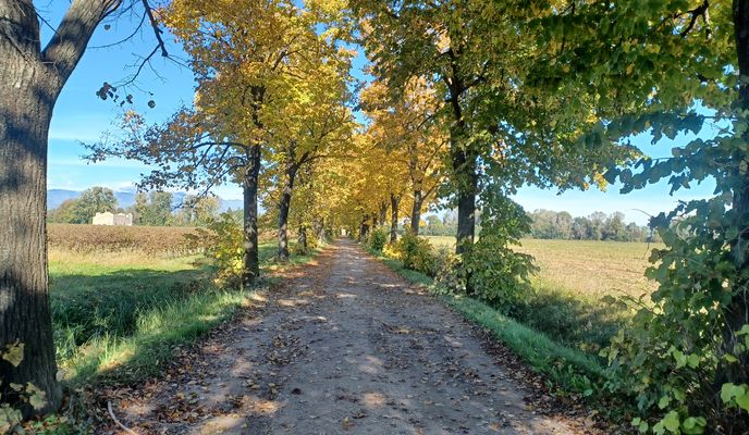 Photo 1 de l’itinéraire Bikemap « pianura a sud di Pordenone »