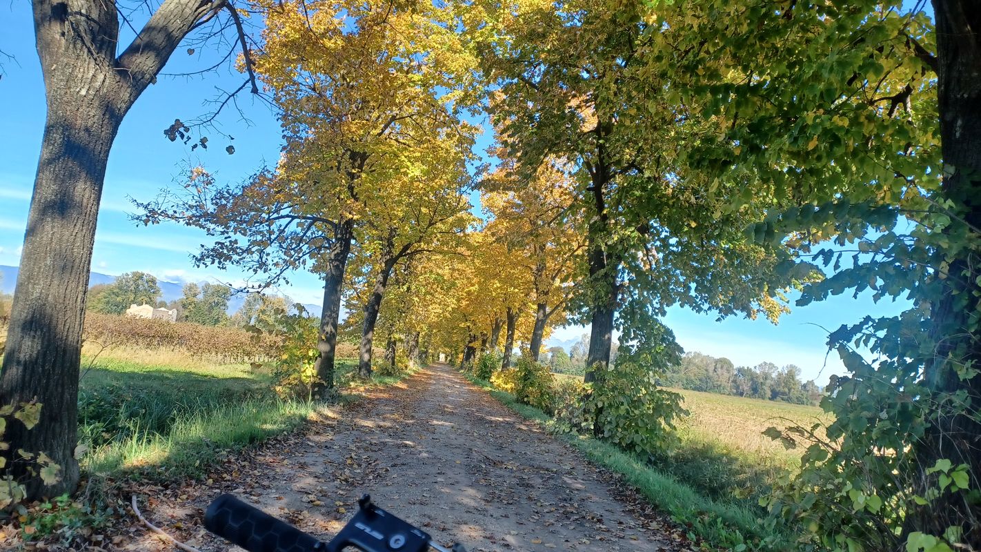 pianura a sud di Pordenone
