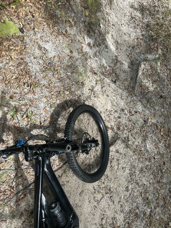 Lower Hillsborough Flood Detention Area Trail, Thonotosassa to Lower Hillsborough Flood Detention Area Trail, Thonotosassa