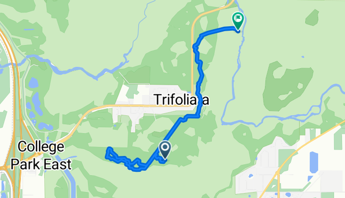 Lower Hillsborough Flood Detention Area Trail, Thonotosassa to Lower Hillsborough Flood Detention Area Trail, Thonotosassa