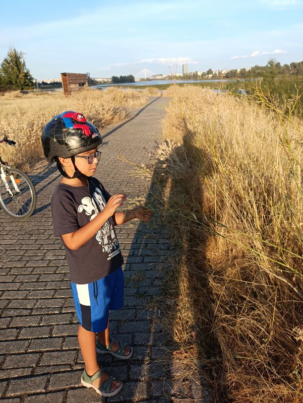 De Calle Moreras a Calle Moreras