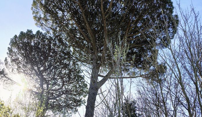 Foto 1 de la ruta de Bikemap "De Bartolomé Mitre a Hipólito Yrigoyen"