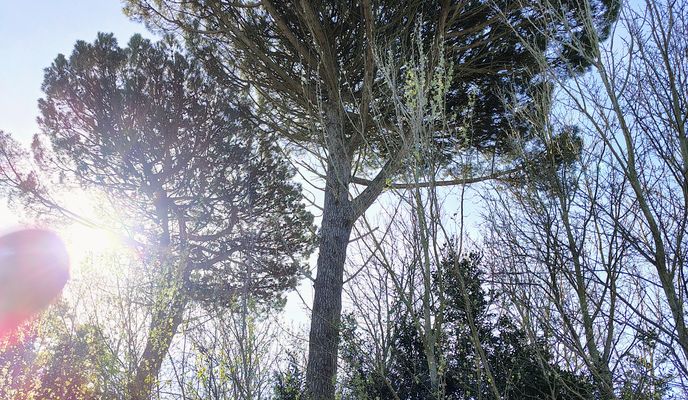 Foto 2 de la ruta de Bikemap "De Bartolomé Mitre a Hipólito Yrigoyen"