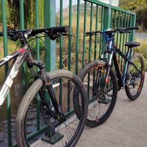 las peñas el porvenir alto