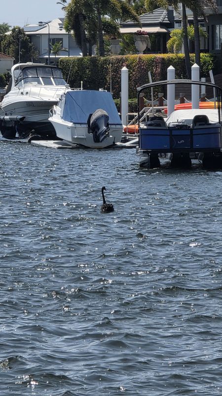 Harbour Parade to Harbour Parade