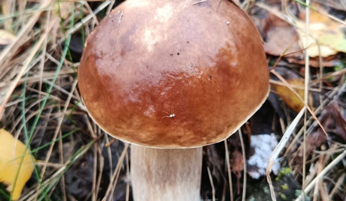 Foto 2 der Bikemap-Route "полигон" Foto 2 der Bikemap-Route "полигон"