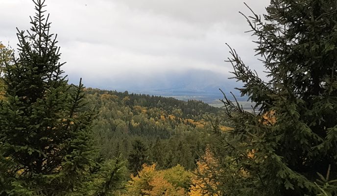 Photo 2 of the Bikemap route "V Lese."