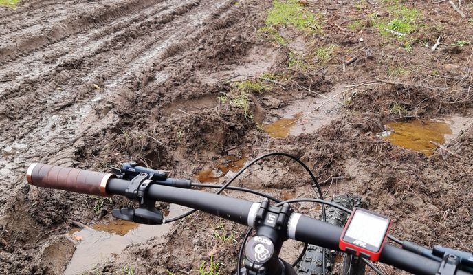 Photo 1 of the Bikemap route "V Lese."